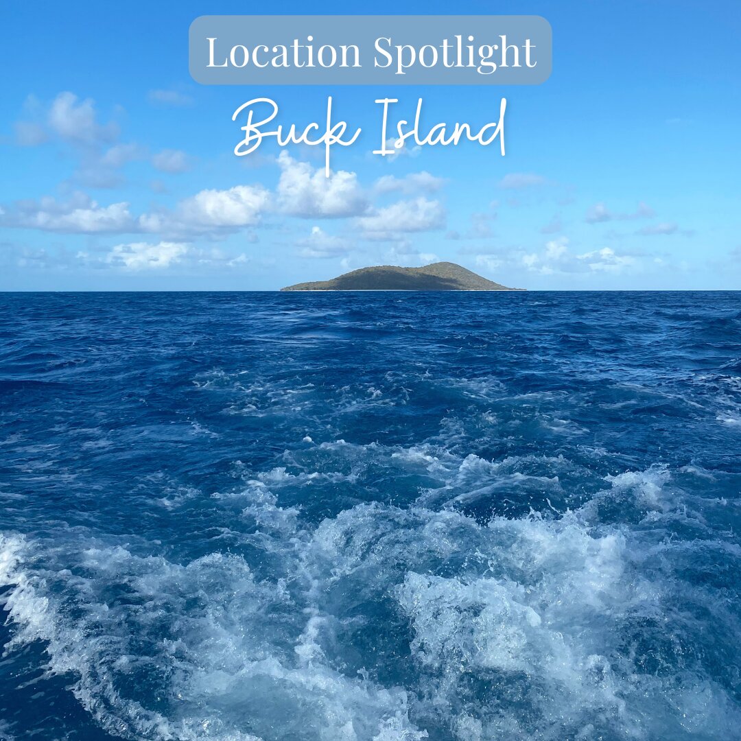 Summer Hot St. Croix Listings plus Latest News Blue Sky Real Estate