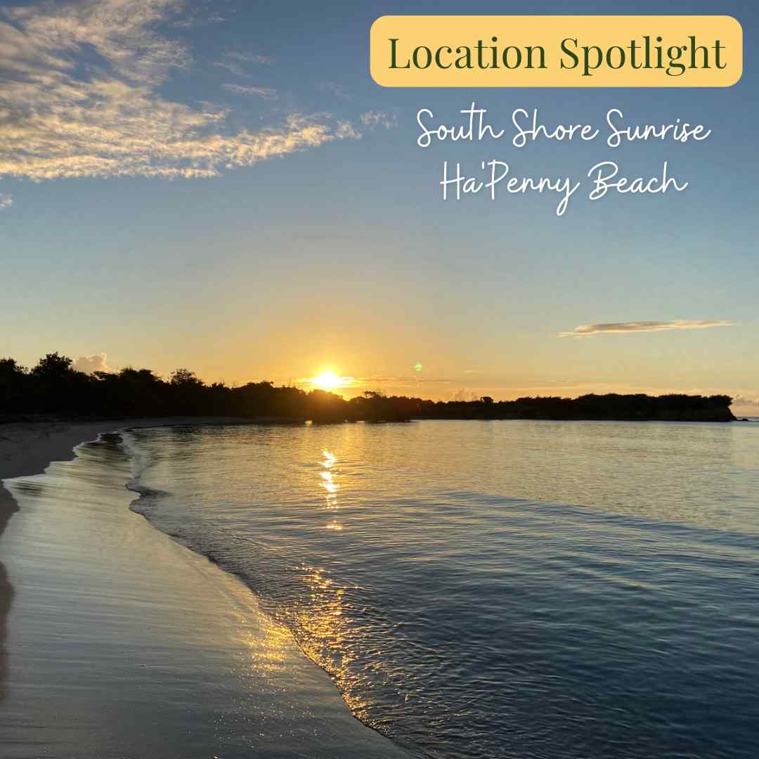 Happy New Year from BSRE + New Listings Blue Sky Real Estate St