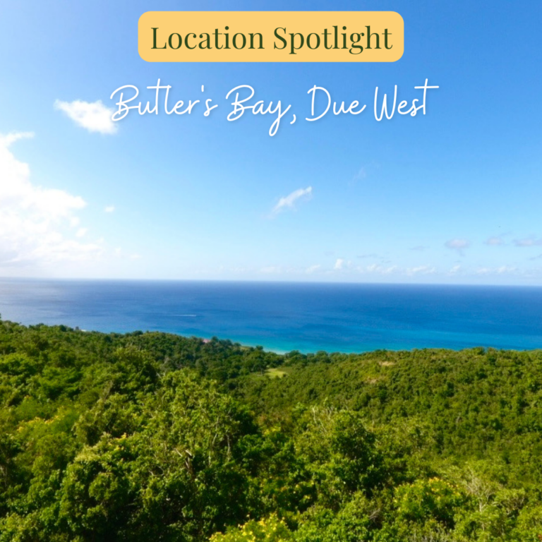 Home Blue Sky Real Estate St. Croix, St. Thomas, St. John, BVI