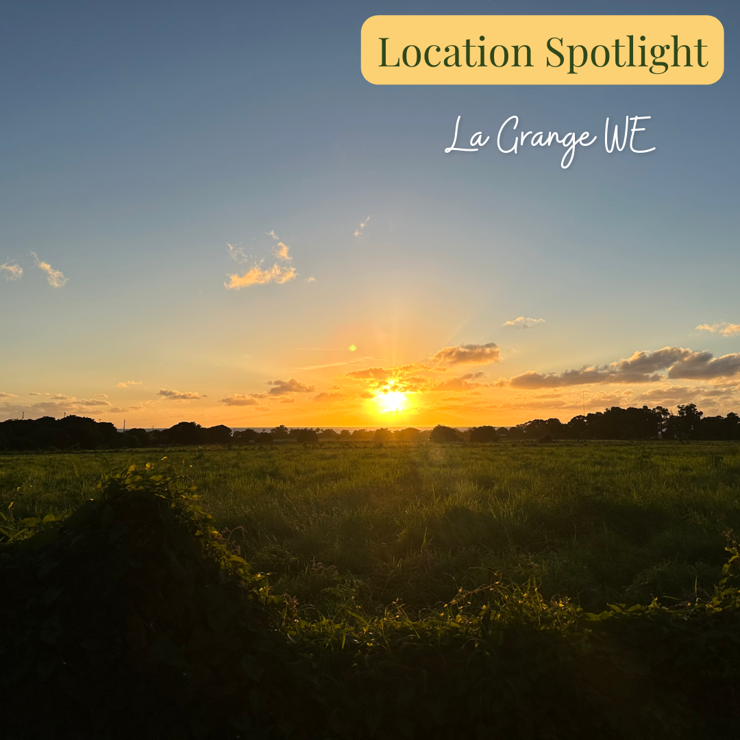 Make A Summer Splash with BSRE's Newest Listings! Blue Sky Real